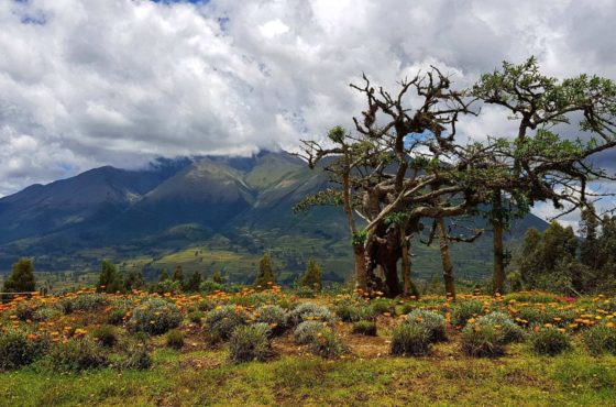 Otavalo. Tajemnicze miejsce – El Lechero